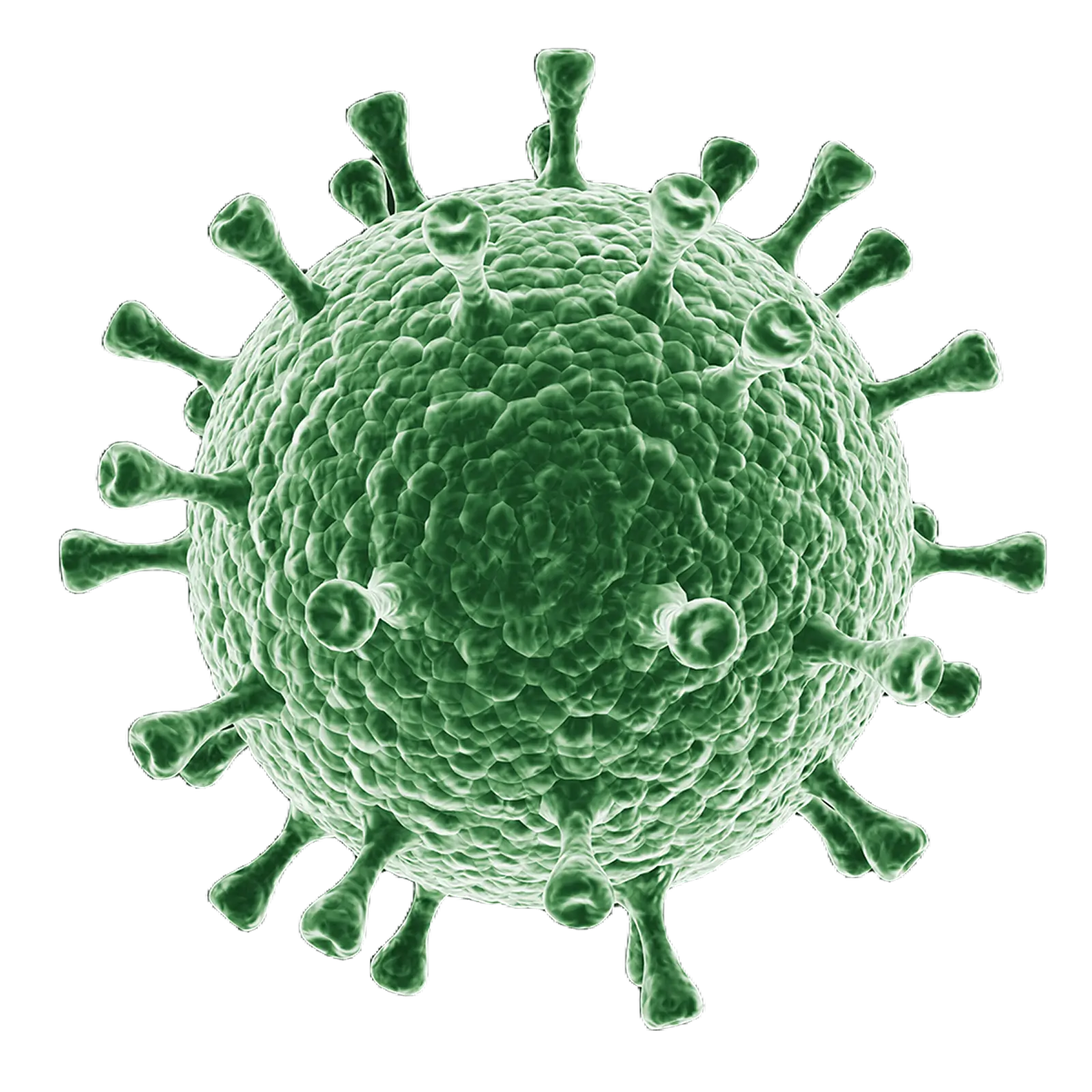 virus image
