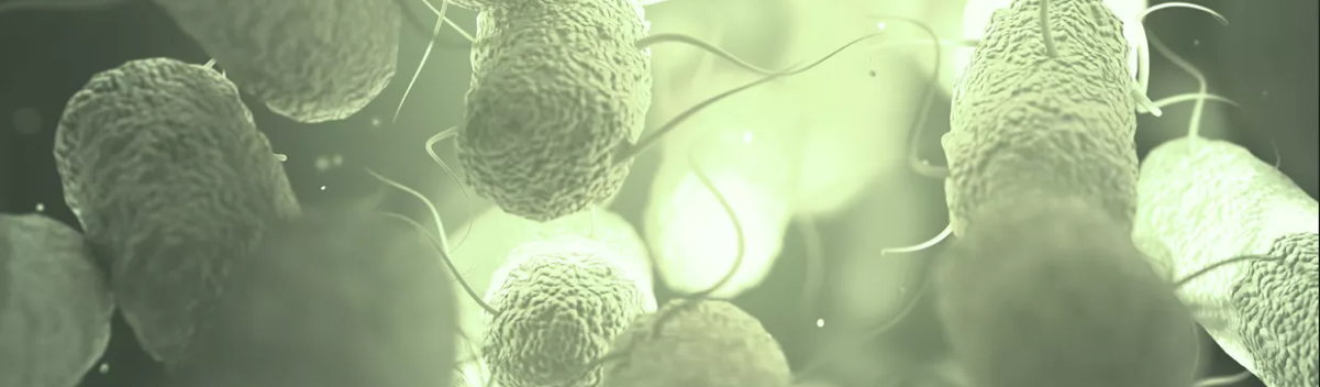 Infection Risk From Ultrasound 2